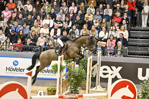  | 14022026 GHW Pferdewechsel _007 