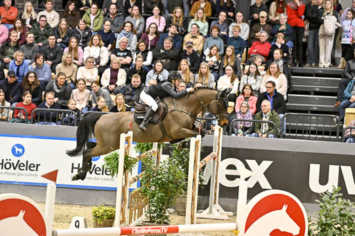  | 14022026 GHW Pferdewechsel _008 