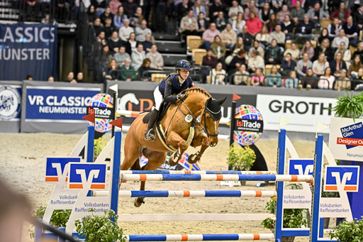  | 14022026 GHW Pferdewechsel _011 