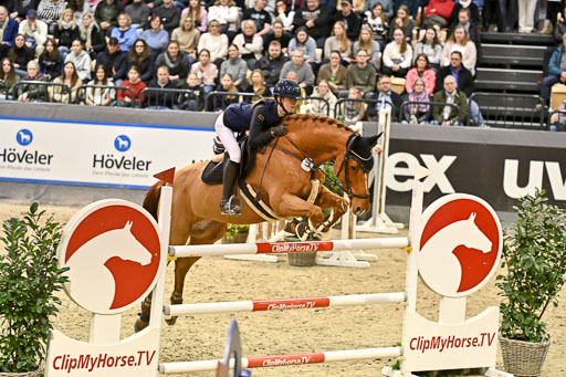  | 14022026 GHW Pferdewechsel _015 