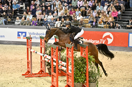  | 14022026 GHW Pferdewechsel _024 