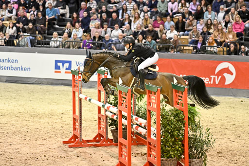  | 14022026 GHW Pferdewechsel _025 