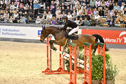  | 14022026 GHW Pferdewechsel _026 