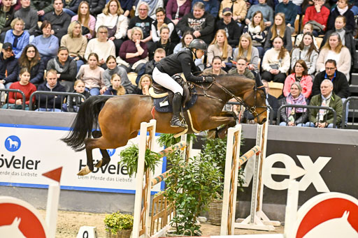  | 14022026 GHW Pferdewechsel _028 