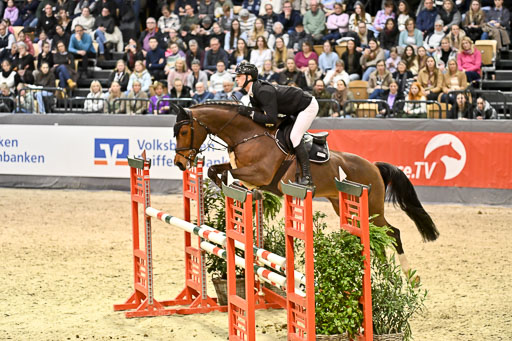  | 14022026 GHW Pferdewechsel _035 