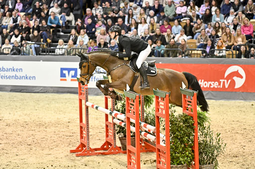  | 14022026 GHW Pferdewechsel _036 