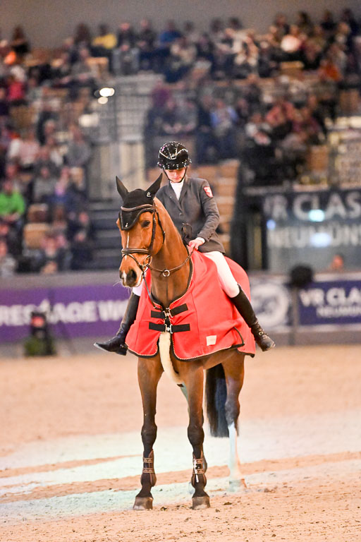  | 14022026 GHW Pferdewechsel _050 