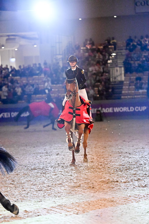  | 14022026 GHW Pferdewechsel _146 