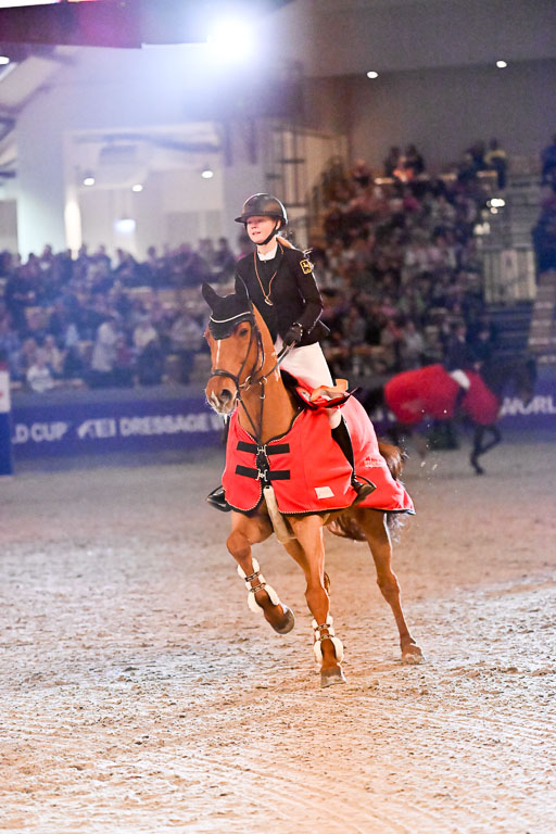  | 14022026 GHW Pferdewechsel _150 