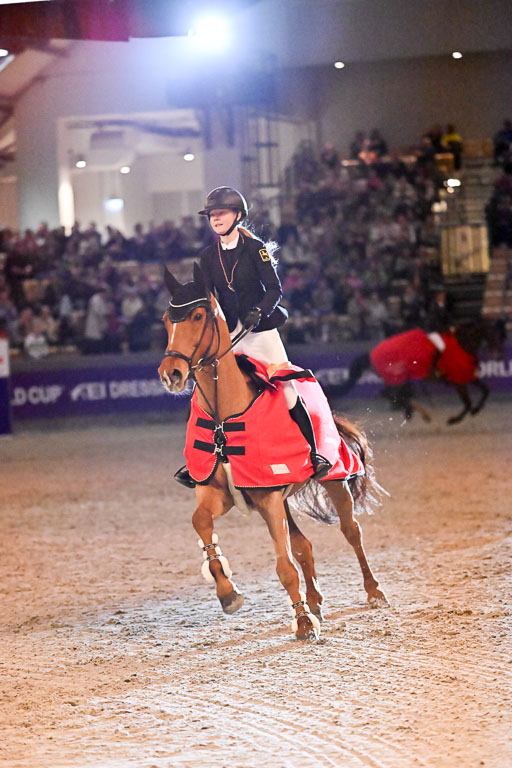  | 14022026 GHW Pferdewechsel _151 