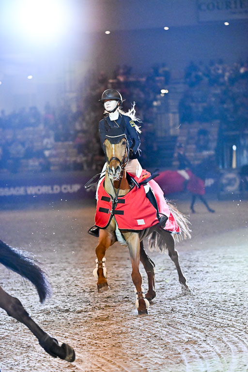  | 14022026 GHW Pferdewechsel _164 