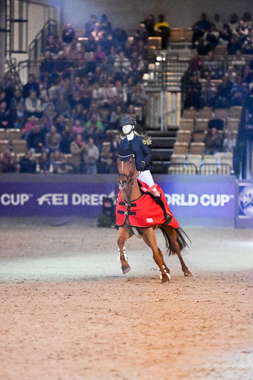  | 14022026 GHW Pferdewechsel _171 