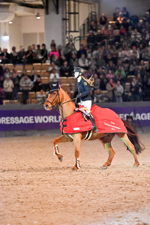  | 14022026 GHW Pferdewechsel _173 