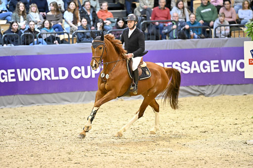  | 13022026 S+ Intern _288 