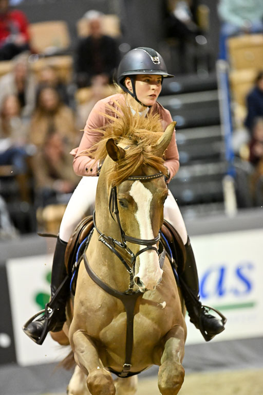  | 13022026 S+ Intern _319 