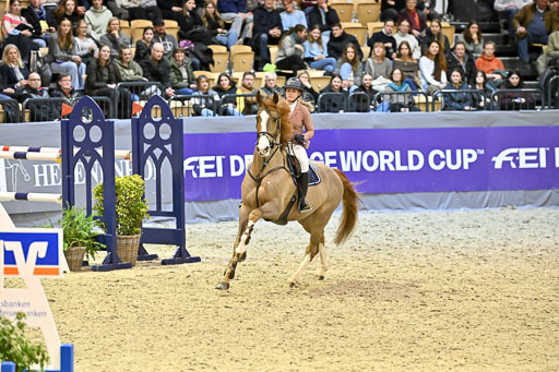  | 13022026 S+ Intern _320 