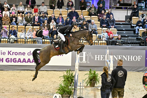  | 13022026 Pfg 10 Youngster _032 