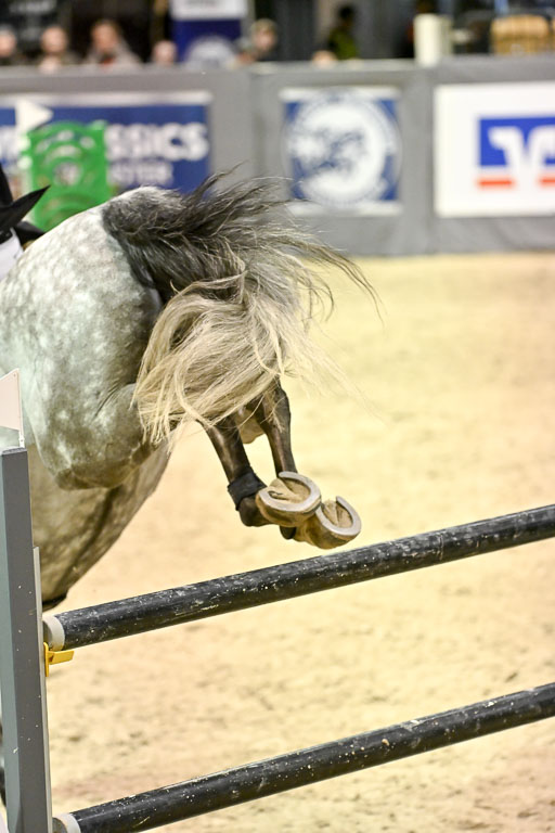  | 13022026 Pfg 10 Youngster _202 