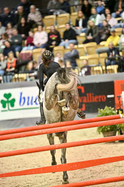  | 13022026 Pfg 10 Youngster _203 