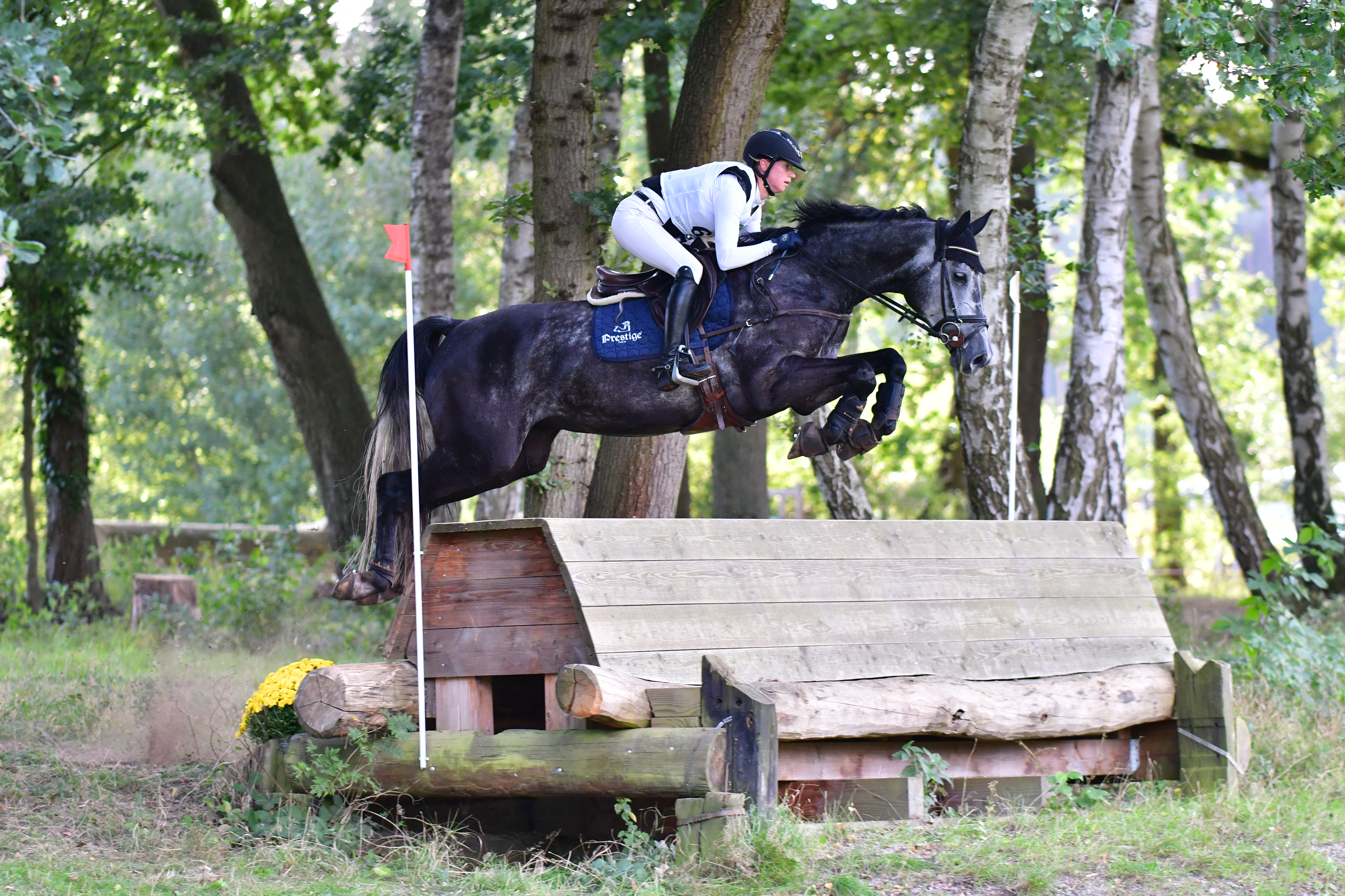 CCI**  XC