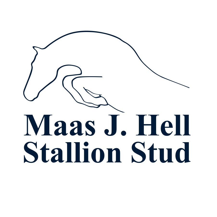 12.4.26 Stall Hell
